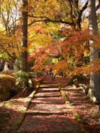 🍁✨ 秋の龍穏寺で静寂と紅葉美を堪能しよう ✨🍁