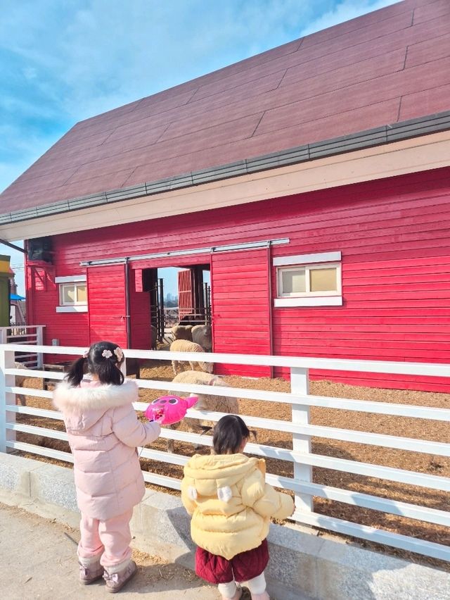 설 연휴에는 가족여행 추천지! 동물 먹이체험, 눈썰매, 키즈카페 모두 가능해요:)
