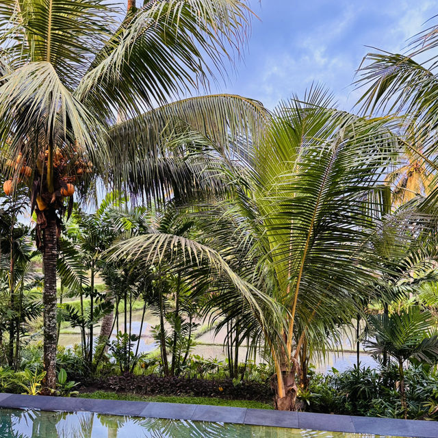 Headed to Bali for this..