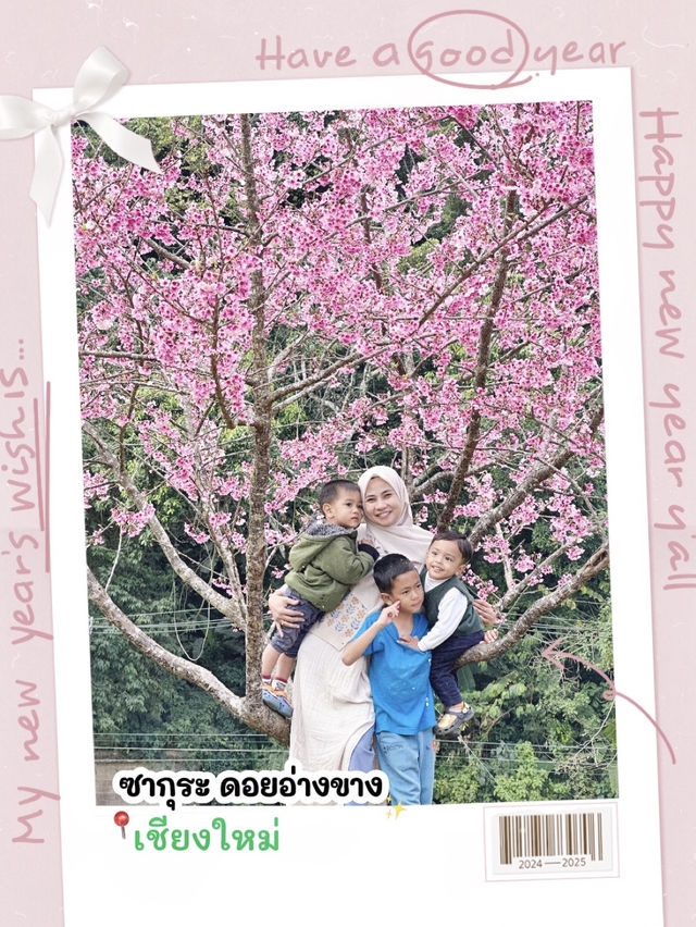 ดอยอ่างขาง จังหวัดเชียงใหม่