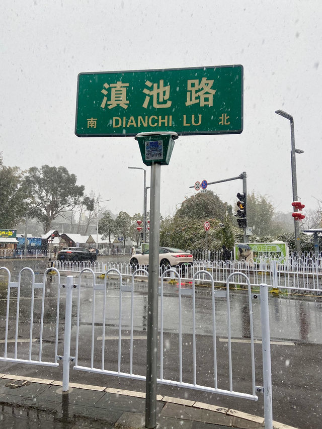 🥰☃️白雪浪漫～昆明滇池必去海埂公園🕊️🌊