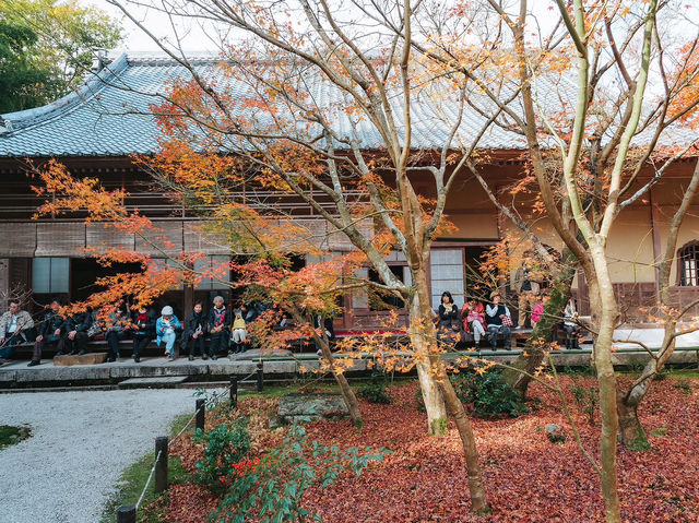 วัดเอ็นโคจิ (圓光寺, Enkōji) 