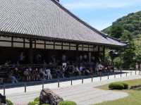 Zen Reverie: Discover Tenryu-ji Temple