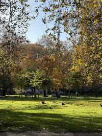 A Perfect Day in the City of London: History, Skyscrapers, and Hidden Gems