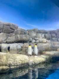 Yokohama Hakkeijima Sea Paradise 