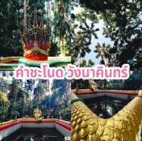 คำชะโนด วังนาคินทร์