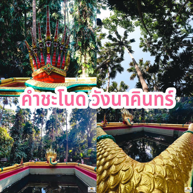 คำชะโนด วังนาคินทร์