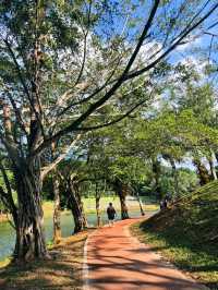 เดินเล่น ชมธรรมชาติ @ สวนสาธารณะเทศบาลนครหาดใหญ่