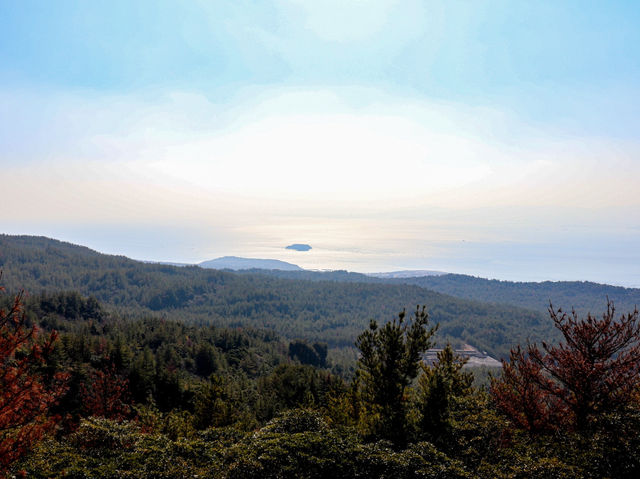 【鹿児島県】 360度パノラマ絶景の展望スポット『湯之平展望所』