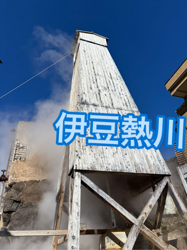 伊豆熱川温泉♨️金目列車に乗ってLet's Go‼️
