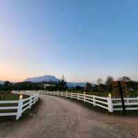 ที่เที่ยวพร้อมAdventure : ISBJØRN CHIANGDAO