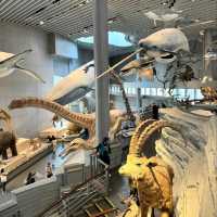 สุดยอดพิพิธภัณฑ์ Shanghai Natural History Museum