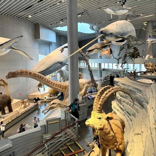 สุดยอดพิพิธภัณฑ์ Shanghai Natural History Museum