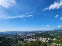 Maokong Gondola & Tea Plantations
