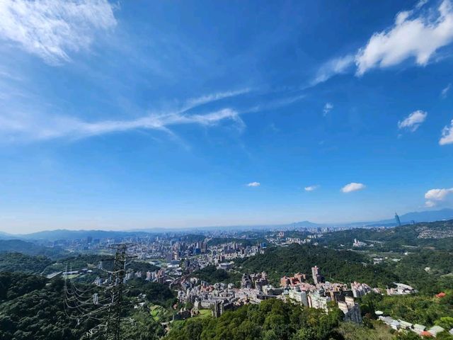 Maokong Gondola & Tea Plantations