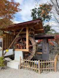 【山梨県】具だくさん最強のほうとう