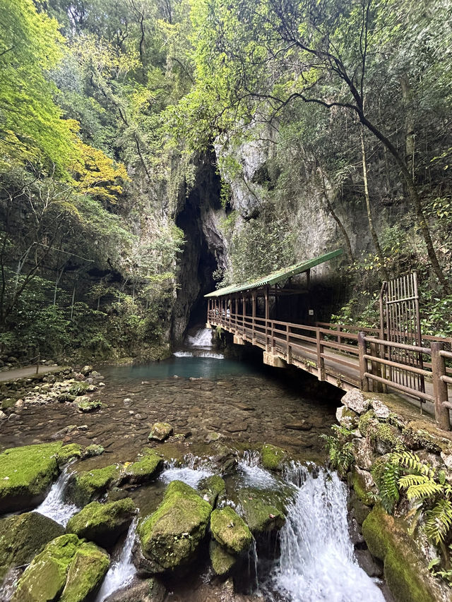 【山口】写真映え女子旅🖼🌉