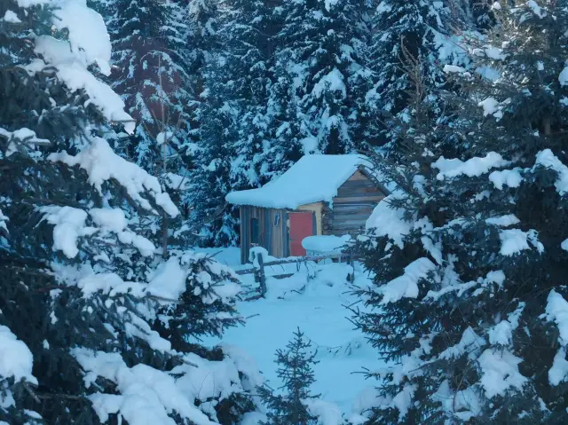 阿勒泰8日遊攻略
