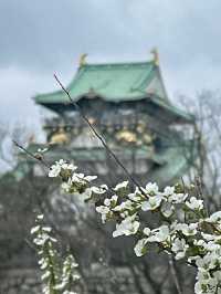 大阪｜見證戰國歷史的大阪城 從石山本願寺三代重建歷史