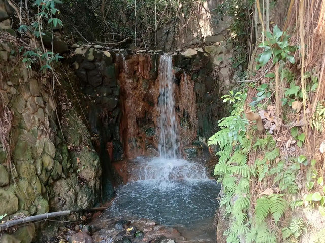 北投熱門景點✨地熱谷✨