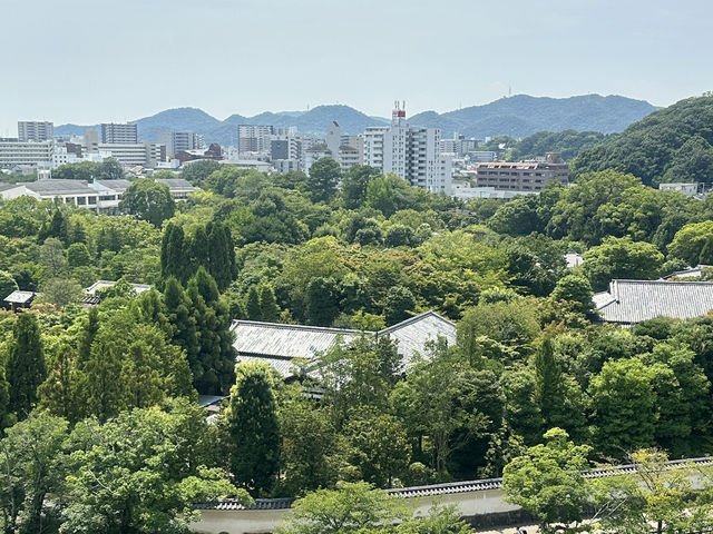 Step Into a Samurai Legacy: Exploring Himeji Castle