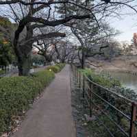 Chidorigafuchi (千鳥ヶ淵)