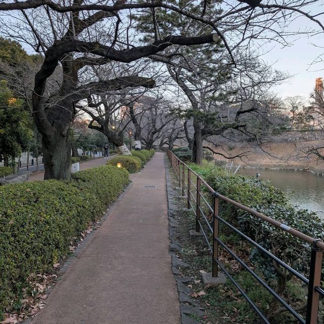 Chidorigafuchi (千鳥ヶ淵)