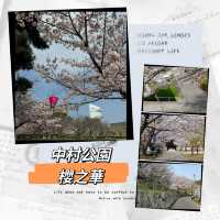 ～中村公園～櫻花下的浪漫～