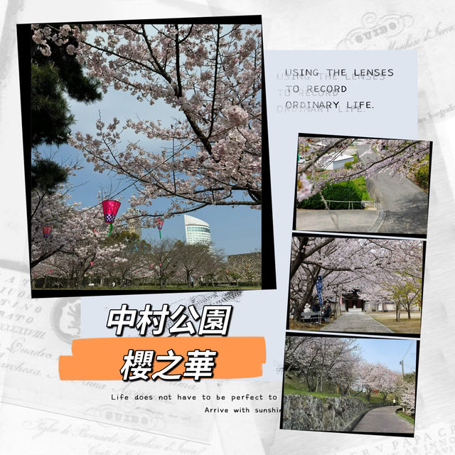 ～中村公園～櫻花下的浪漫～
