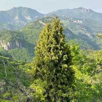 Byeonsanbando National Park