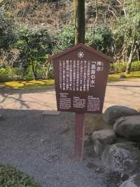 熊本水前寺成趣園昂、出水神社，寧靜美，還有喝了會長壽的水！！