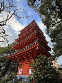 福岡｜壯嚴10.8公尺木造福岡大佛 弘法大師大唐修行後首座寺院-東長寺