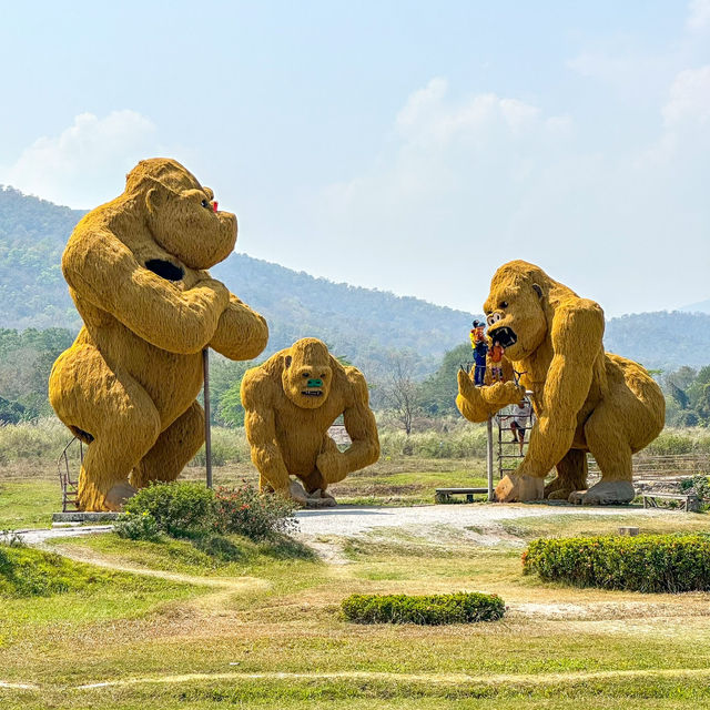 คิงคองยักษ์!! 🦍อ่างเก็บน้ำห้วยตึงเฒ่า เชียงใหม่