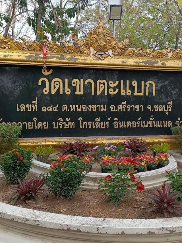 วัดเขาตะแบก