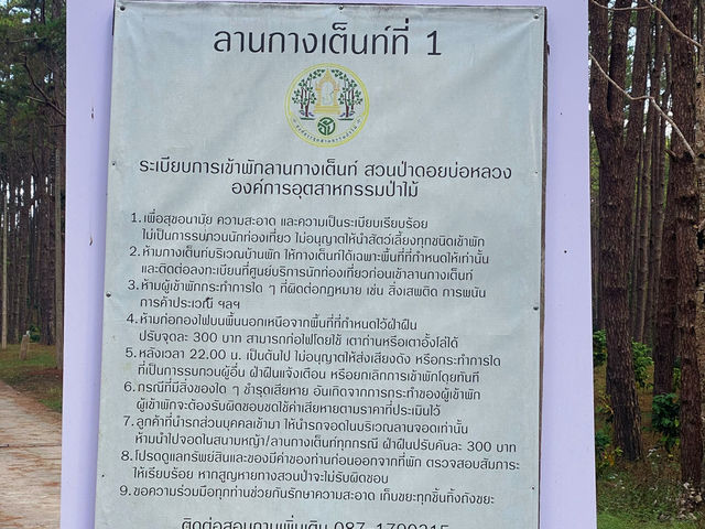 ลานกางเต็นท์กลางป่าสน “สวนป่าดอยบ่อหลวง”
