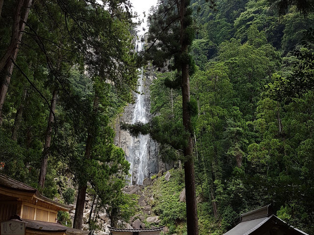 Nachi Fall น้ำตกสวยงามแห่ง Wakayama