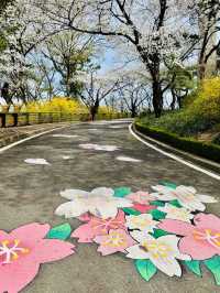 A Dreamy Day Trip from Busan: Cherry Blossoms in Full Bloom at 83 Tower E-World, Daegu