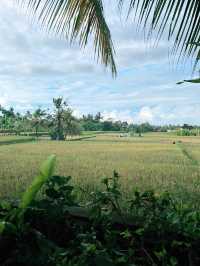 Prabhu Ubud Villa: Springtime Sanctuary