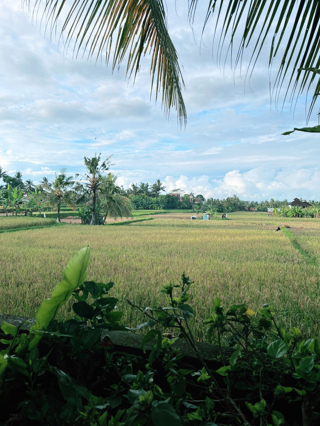 Prabhu Ubud Villa: Springtime Sanctuary