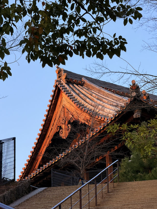 廣島｜宮島最大的木造建築 四百年未完工的千疊閣看宮島興衰繁華