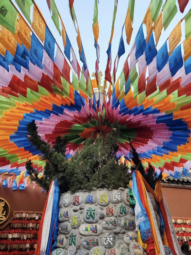 🏯 Xi’an City Wall – A Perfect One-Day Stroll 🚶‍♀️🌿