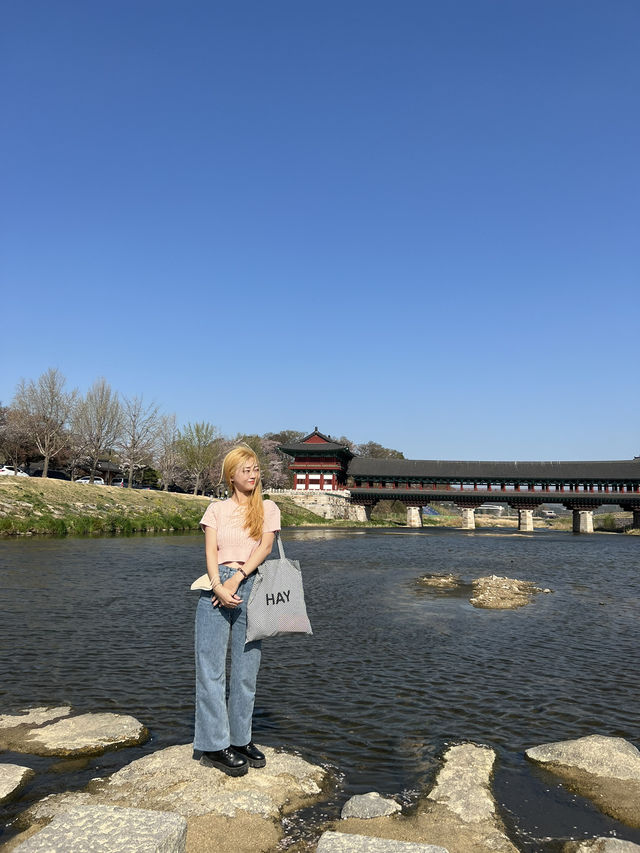 경주 벚꽃 명소, 황리단길 가볼 만한 곳