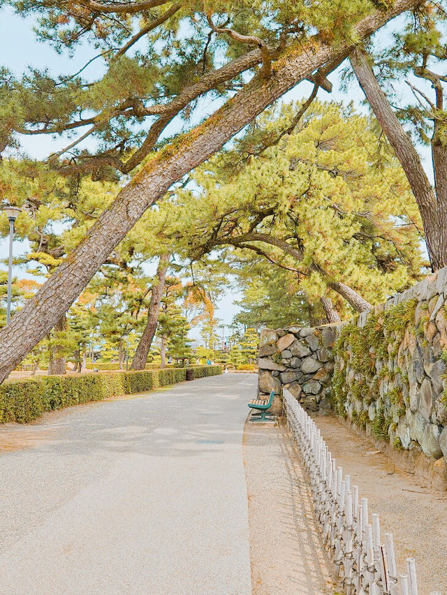 벚꽃이 아름다운 일본의 소도시