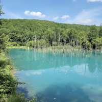 【北海道】🇯🇵 白金青い池