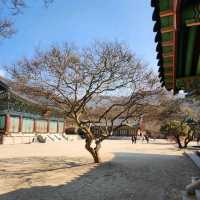 우리나라 3대 사찰, 순천 송광사 둘러보기