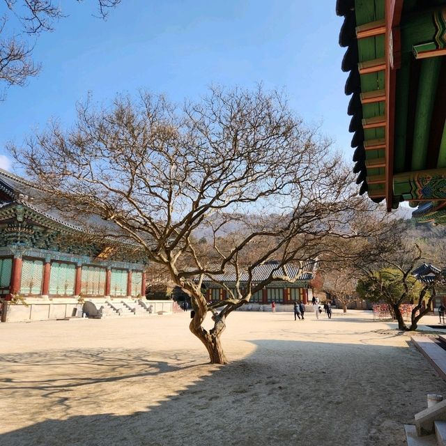 우리나라 3대 사찰, 순천 송광사 둘러보기