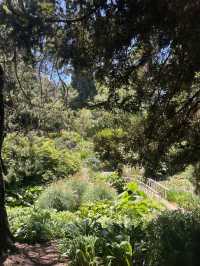 綠意盎然・寧靜悠閒 — 皇家塔斯曼尼亞植物園遊記