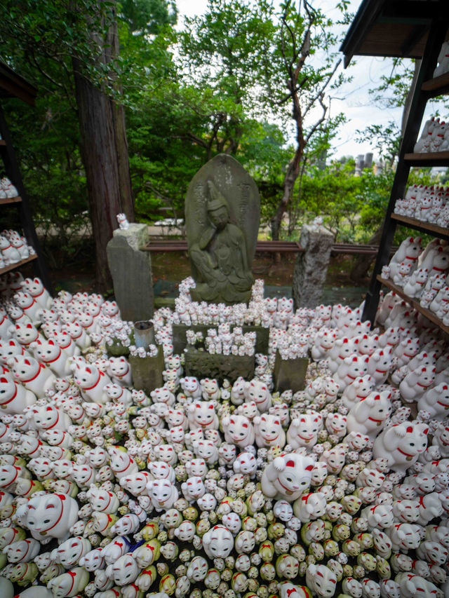 招き猫だらけの豪徳寺で、福を呼び込む体験を🐾