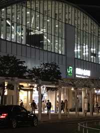 【東京　武蔵小金井駅南口エリア　光と音楽の宮地楽器ホールと緑溢れる緑地公園、庭園、アートスポット、食を巡る】