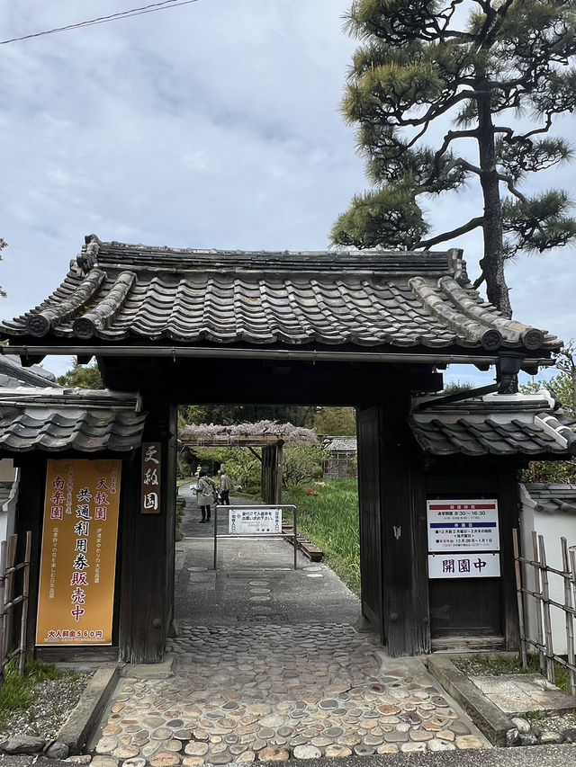 日本四國